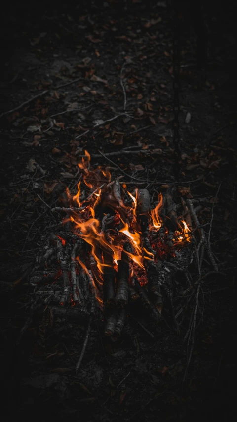 there are many burning logs and sticks in the dark