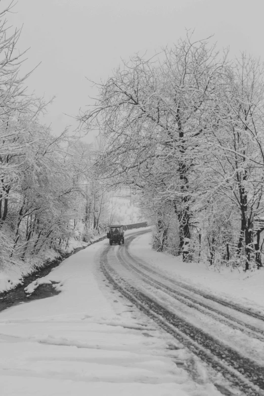 a street filled with snow and trees with no leaves