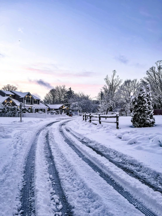 a road is covered in snow and there are two trees