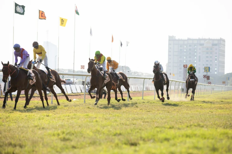 jockeys race horses down the track in a steeple