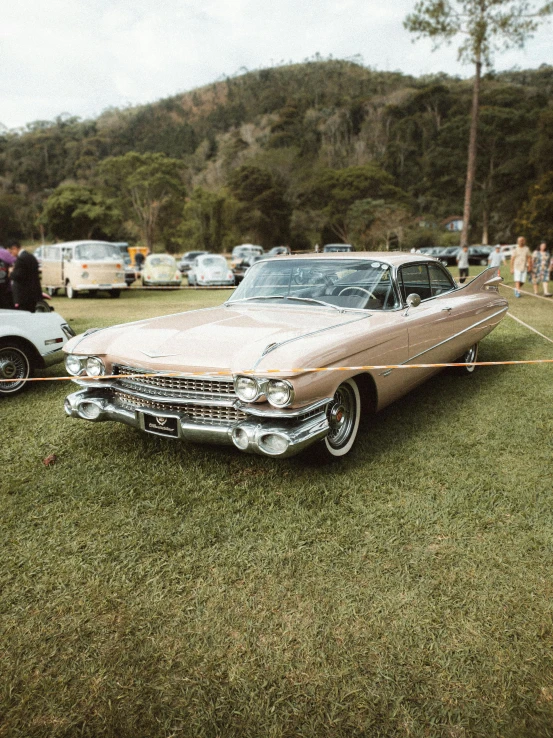 vintage cars are being displayed at a car show