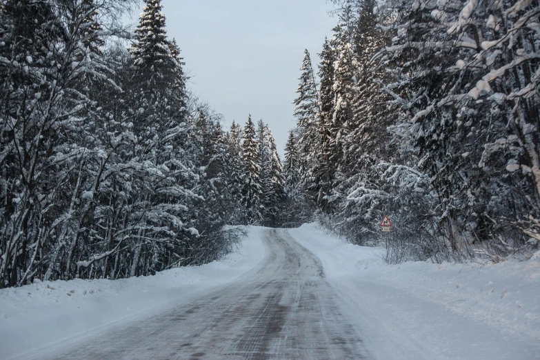 a snow covered road with evergreen trees on the right
