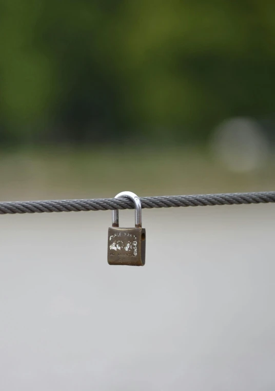 two padlocks on a cord with green trees in the background