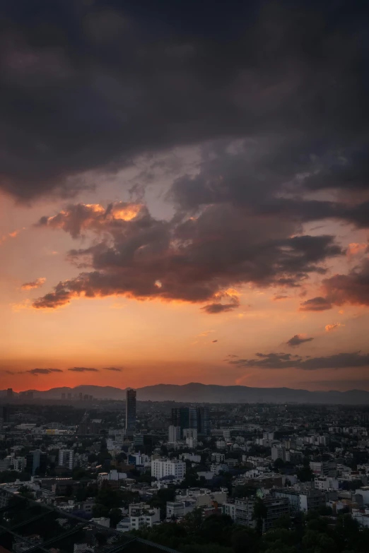 the sunset casts over a city with tall buildings