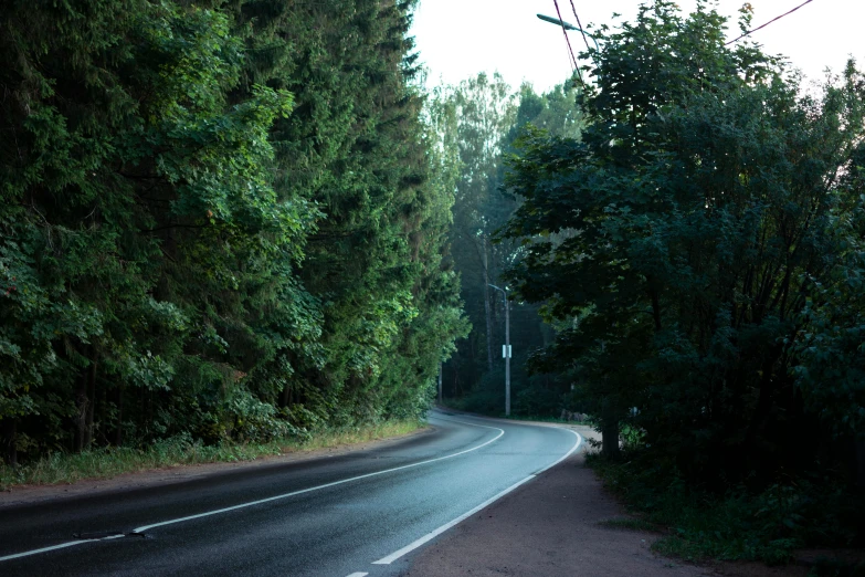 a street with the road in front of trees and power lines going in