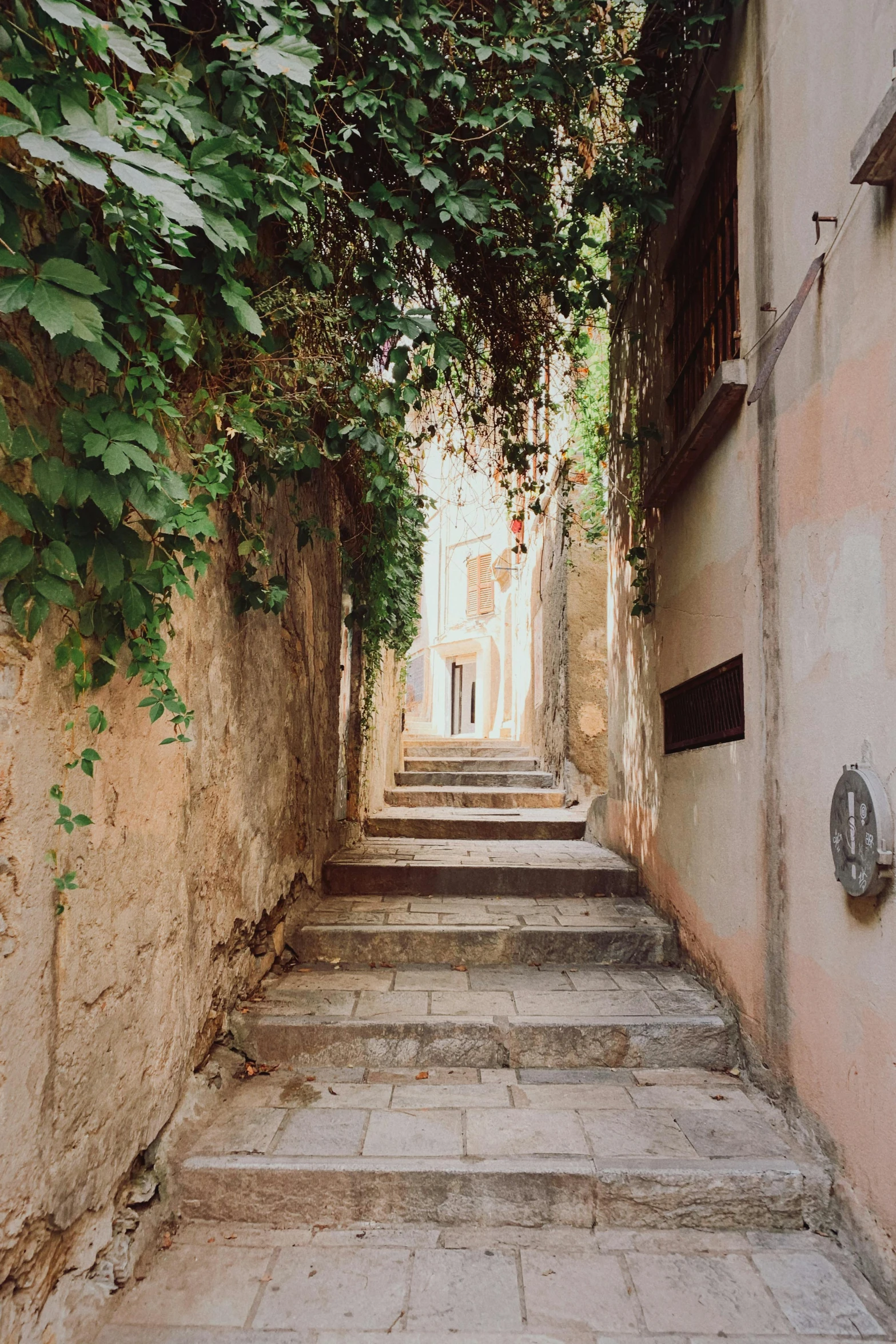 a narrow stairway is adorned with green foliage