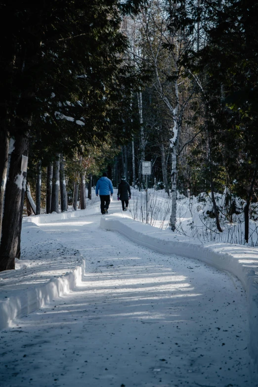 a couple of people with umbrellas walking down a path