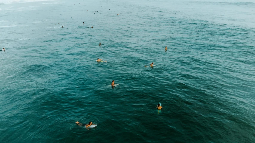 several surfers are swimming in the ocean with boards
