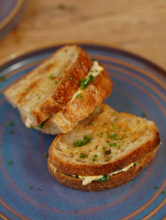 two halves of a sandwich with chives and mayo on a blue plate