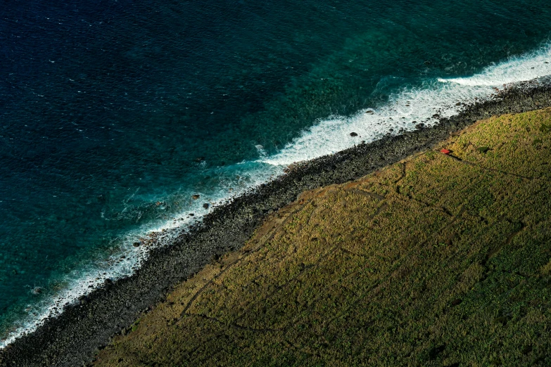 a beautiful s taken from above of a green shoreline line