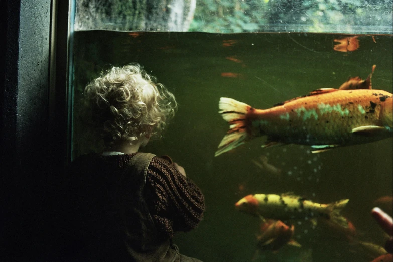 there is a child that is looking at fish