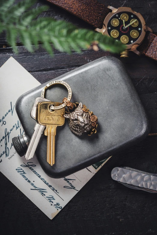 two keys sitting on top of a briefcase