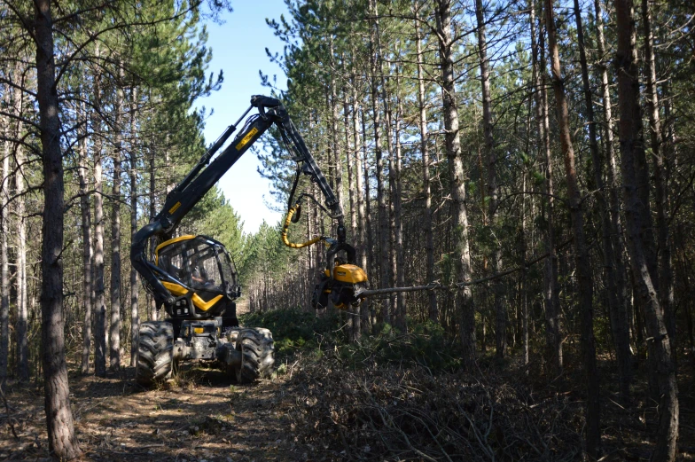 a couple of trucks are on the side of the road in the woods