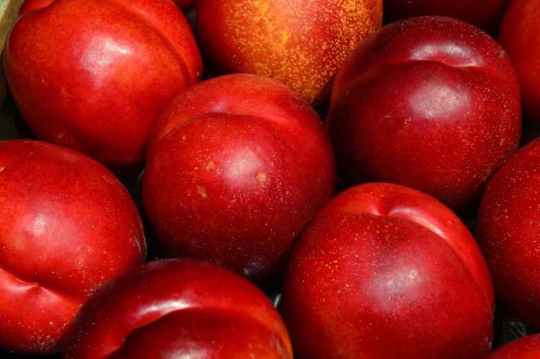 red apples in a cardboard box on display