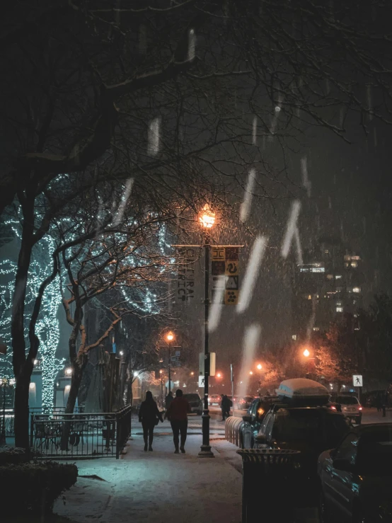 an empty city street has street lamps and snowy trees on the sidewalk
