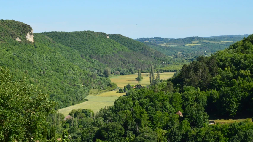 a valley surrounded by forest with mountains in the background