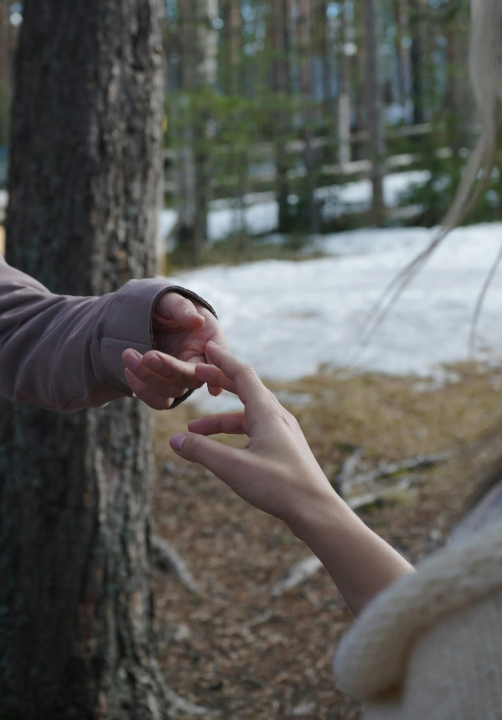 the two people are shaking hands near a tree