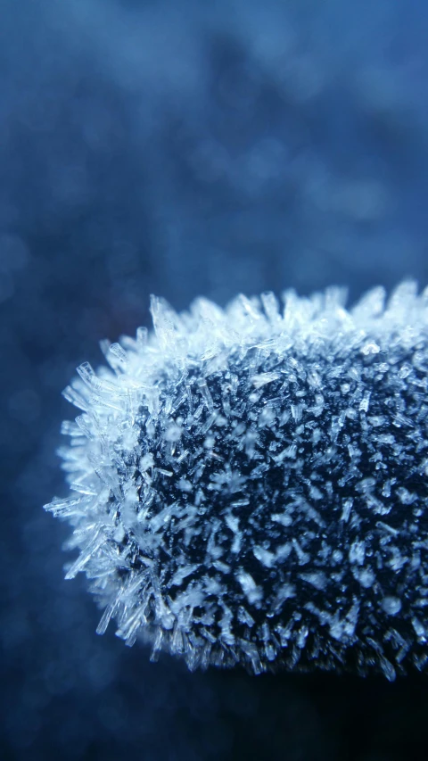 an image of an up close snowflake