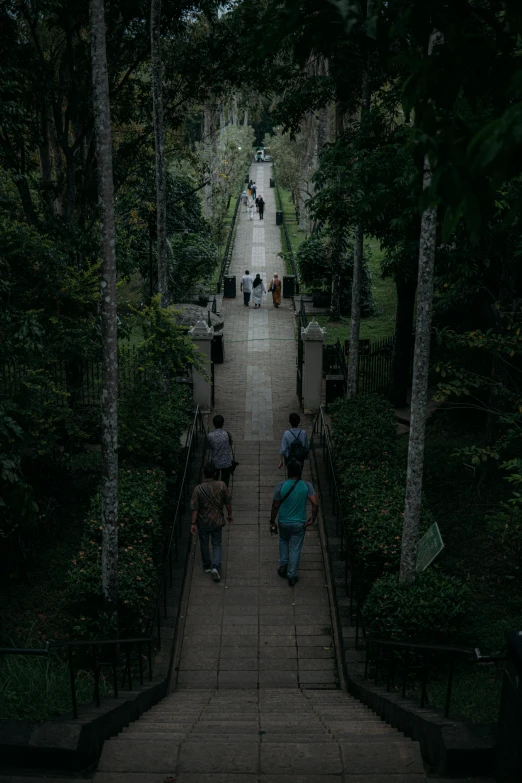 people walking down the walkway in the park