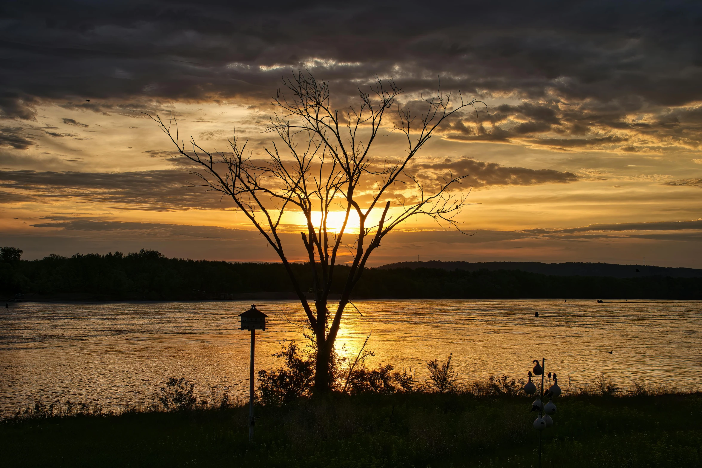 a view of the water with clouds and a tree in the foreground