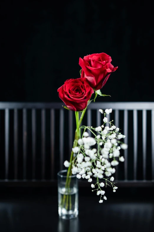 two roses and some baby's breath in a vase