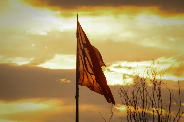 a flag that is on a pole near a tree