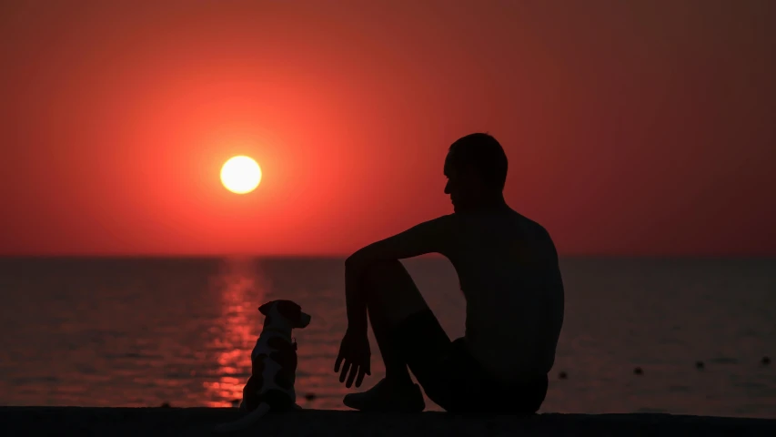 a man sitting on the beach at sunset watching a dog