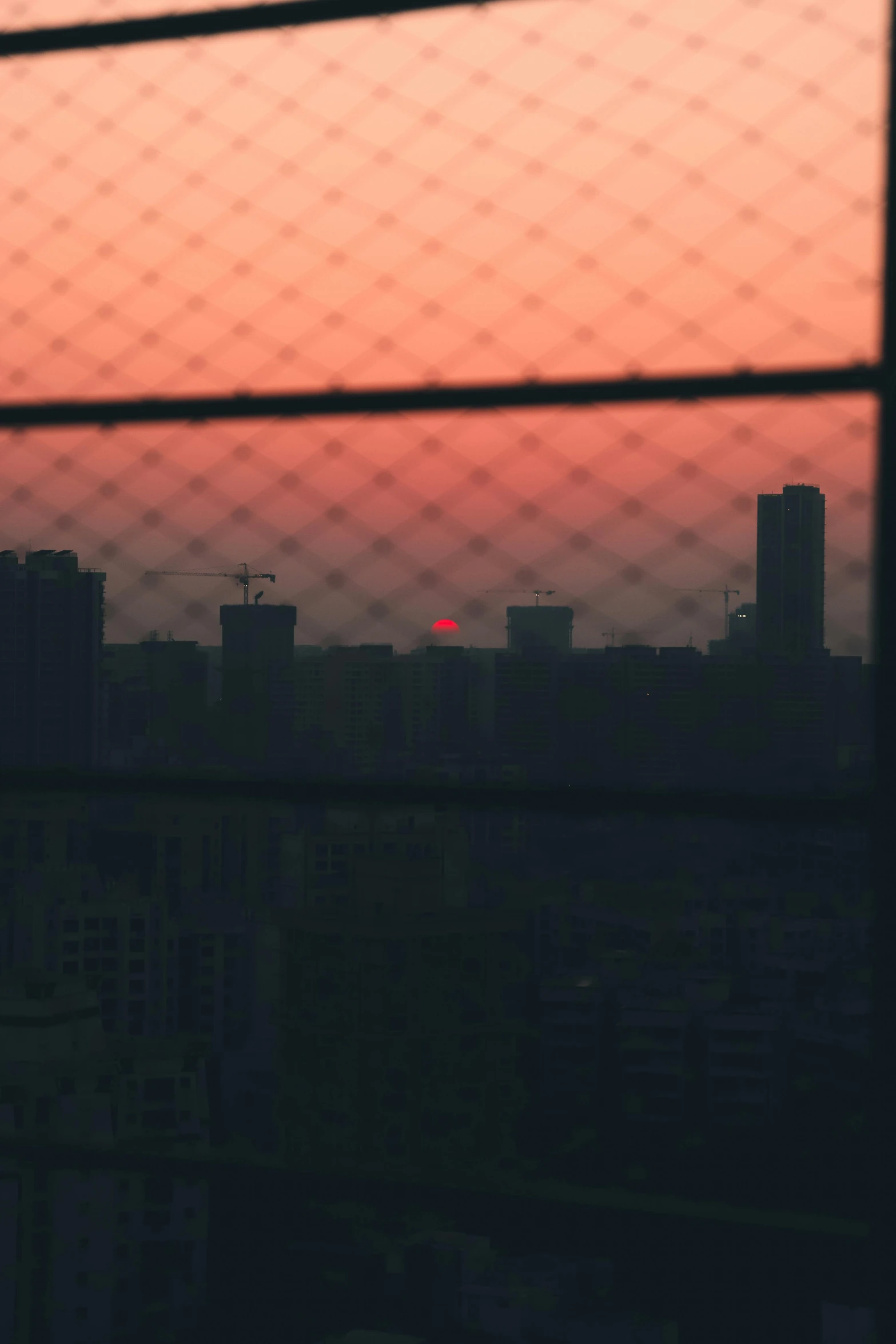 sunset viewed through a fence with distant buildings