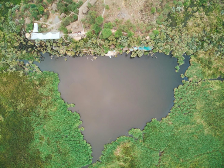 a body of water surrounded by forest and land