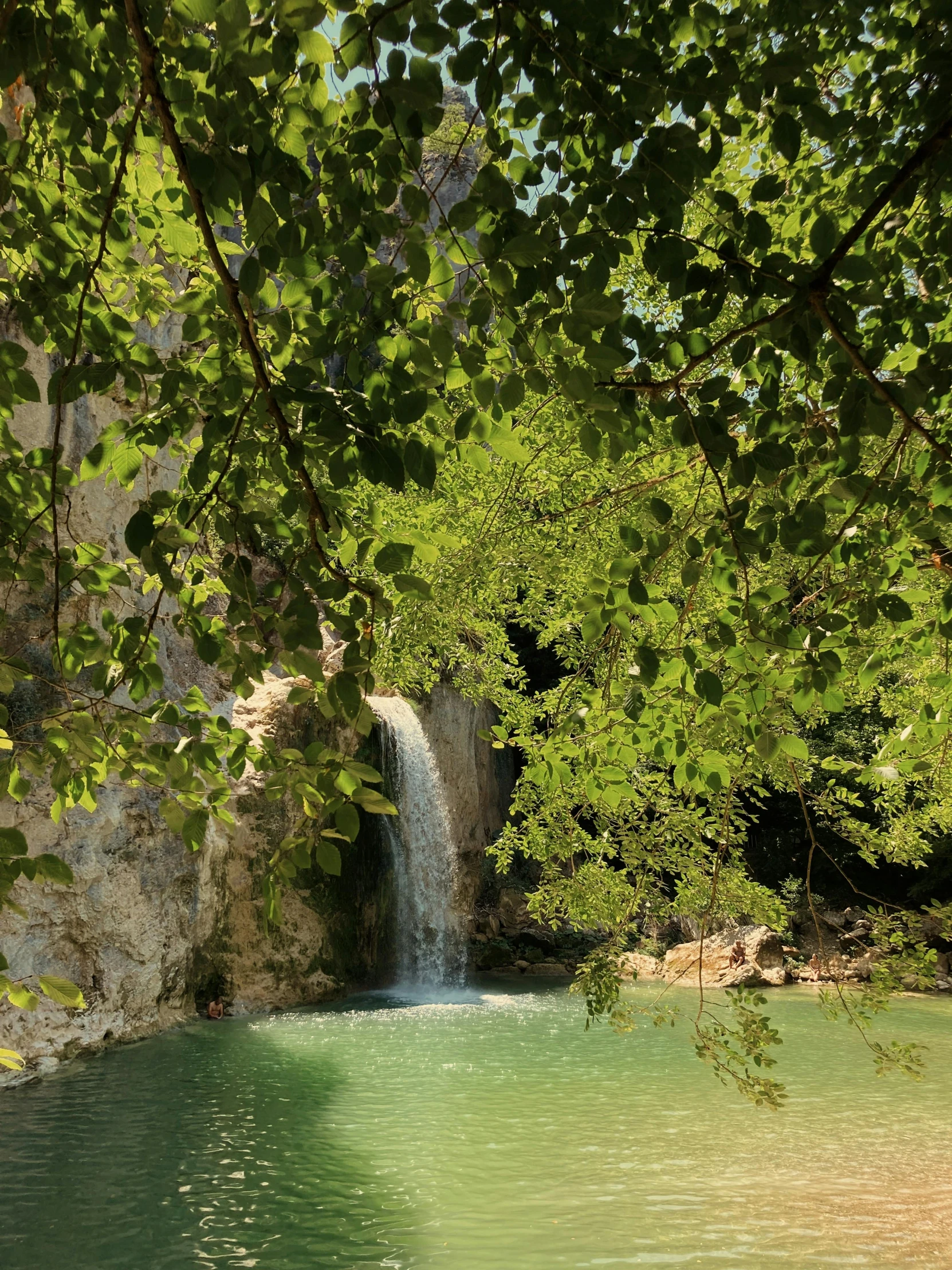 a waterfall and some trees are beside water