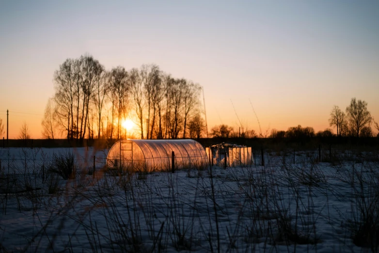 a snowy field that has some green plastic buildings and trees