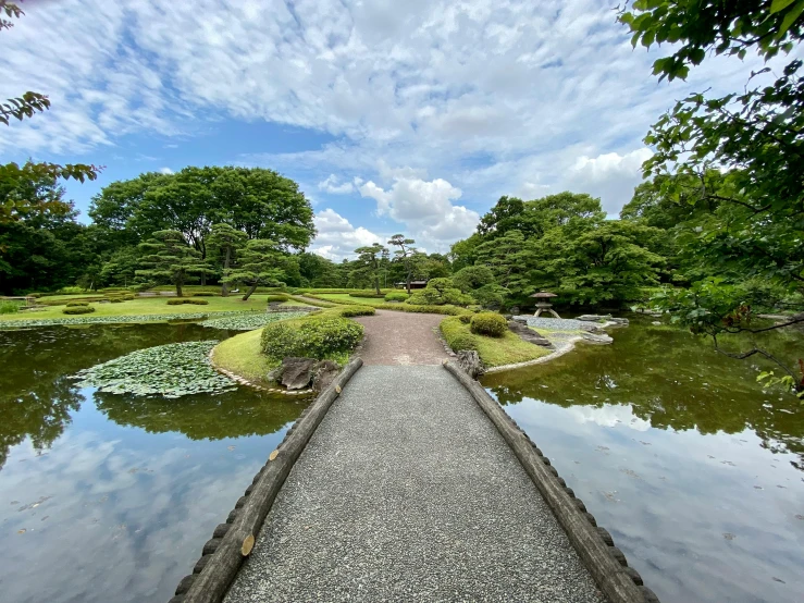 a path in front of a pond and lots of trees