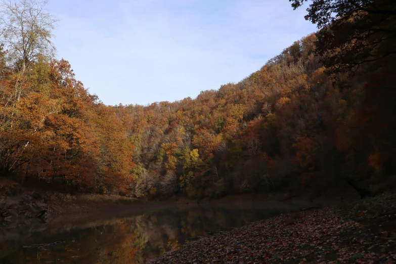 the view of some very pretty autumn colored trees