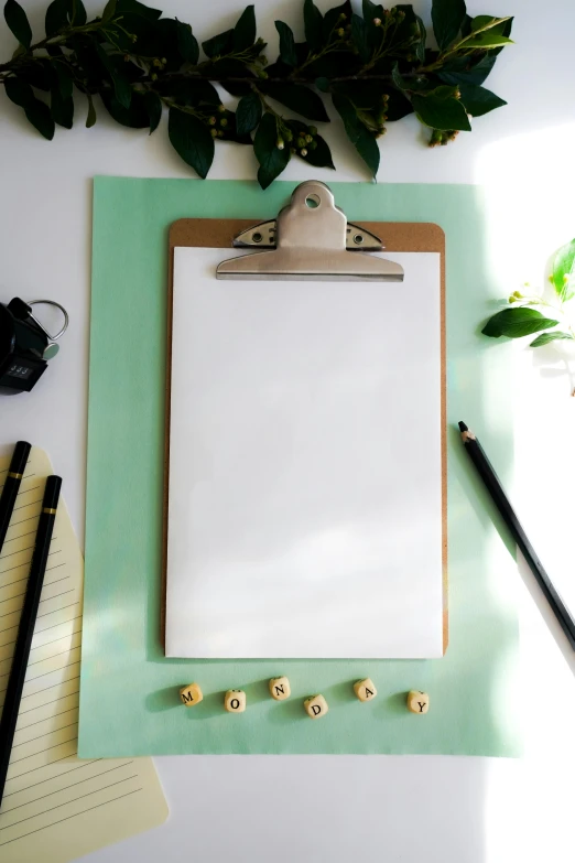 a clipboard with clip rings hanging from it