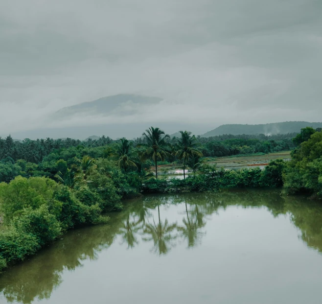 an image of a river with water in the middle