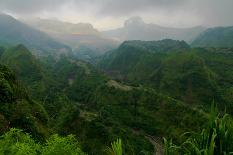 an overview of a green forest with hills