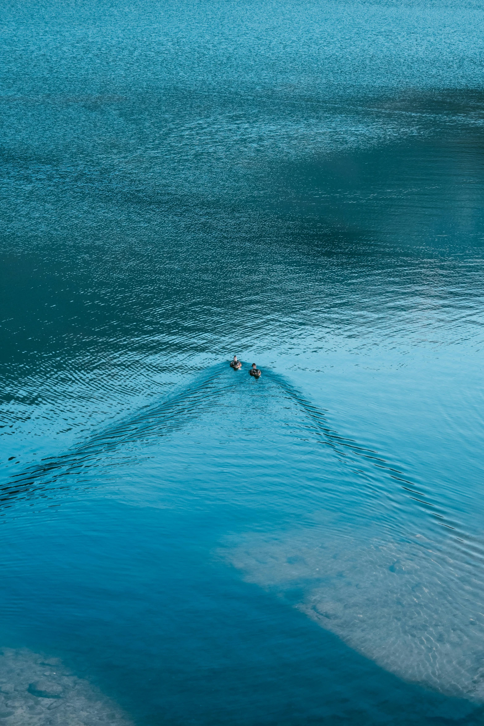 a boat on the blue water near land