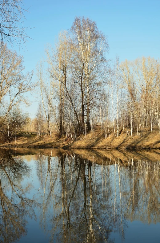 a lake surrounded by many trees and bushes