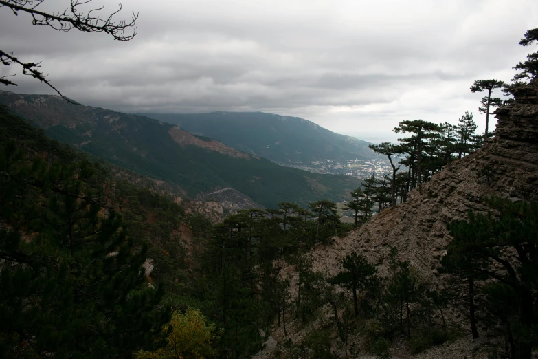 an unscained hill view with some very nice trees in it