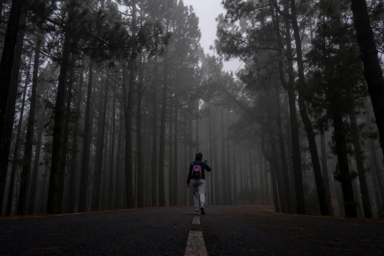 person wearing a backpack walking on the road in the fog