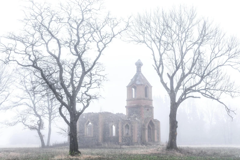 a large building is surrounded by bare trees and fog