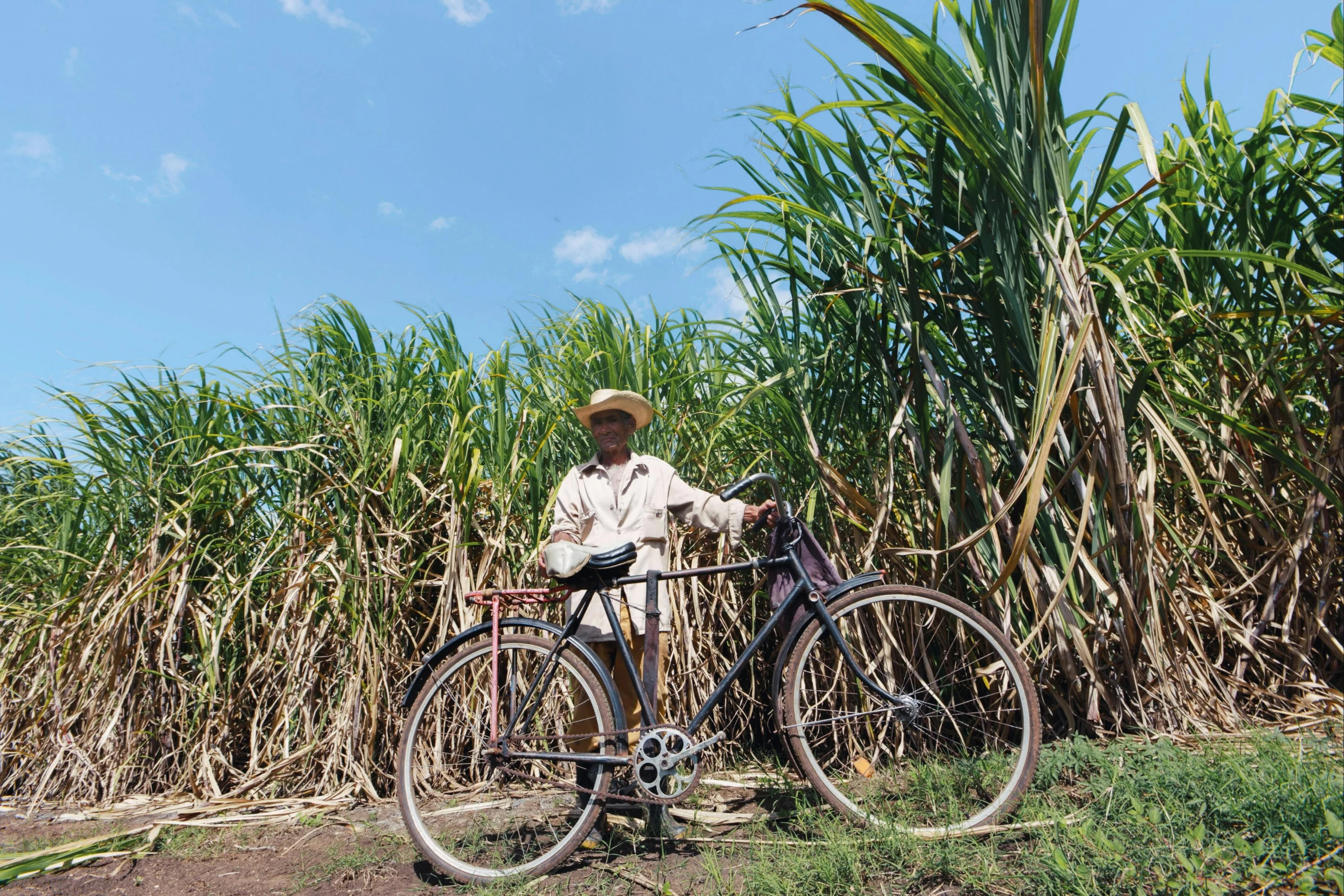 a man standing in front of a field of crops next to his bike