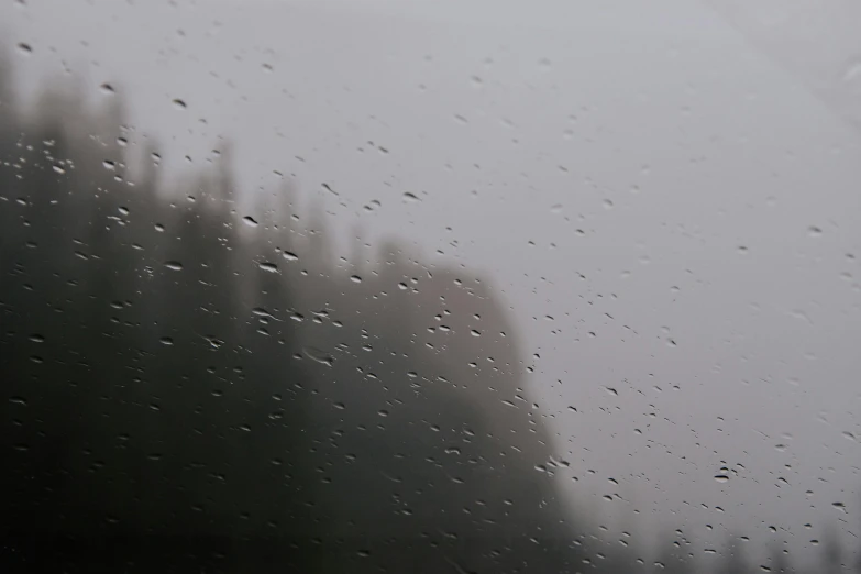 a rain soaked window that is showing some trees