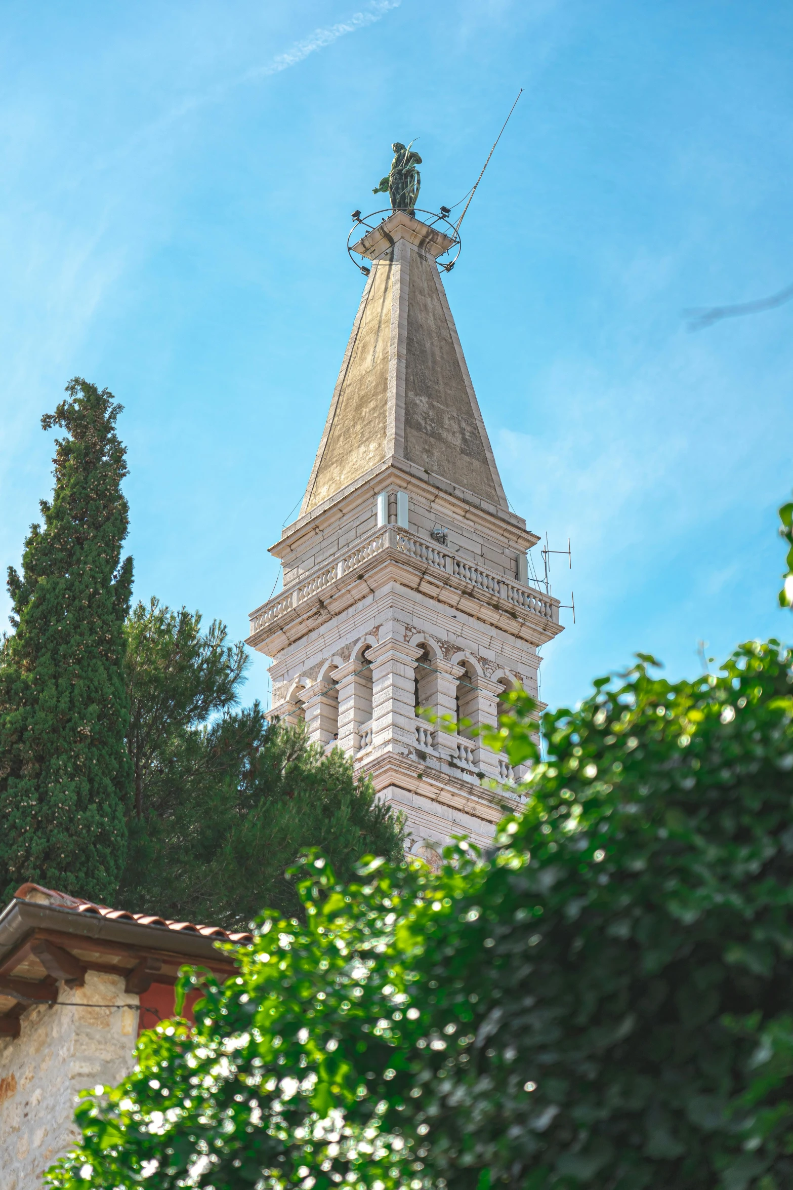 view of a clock tower from between trees