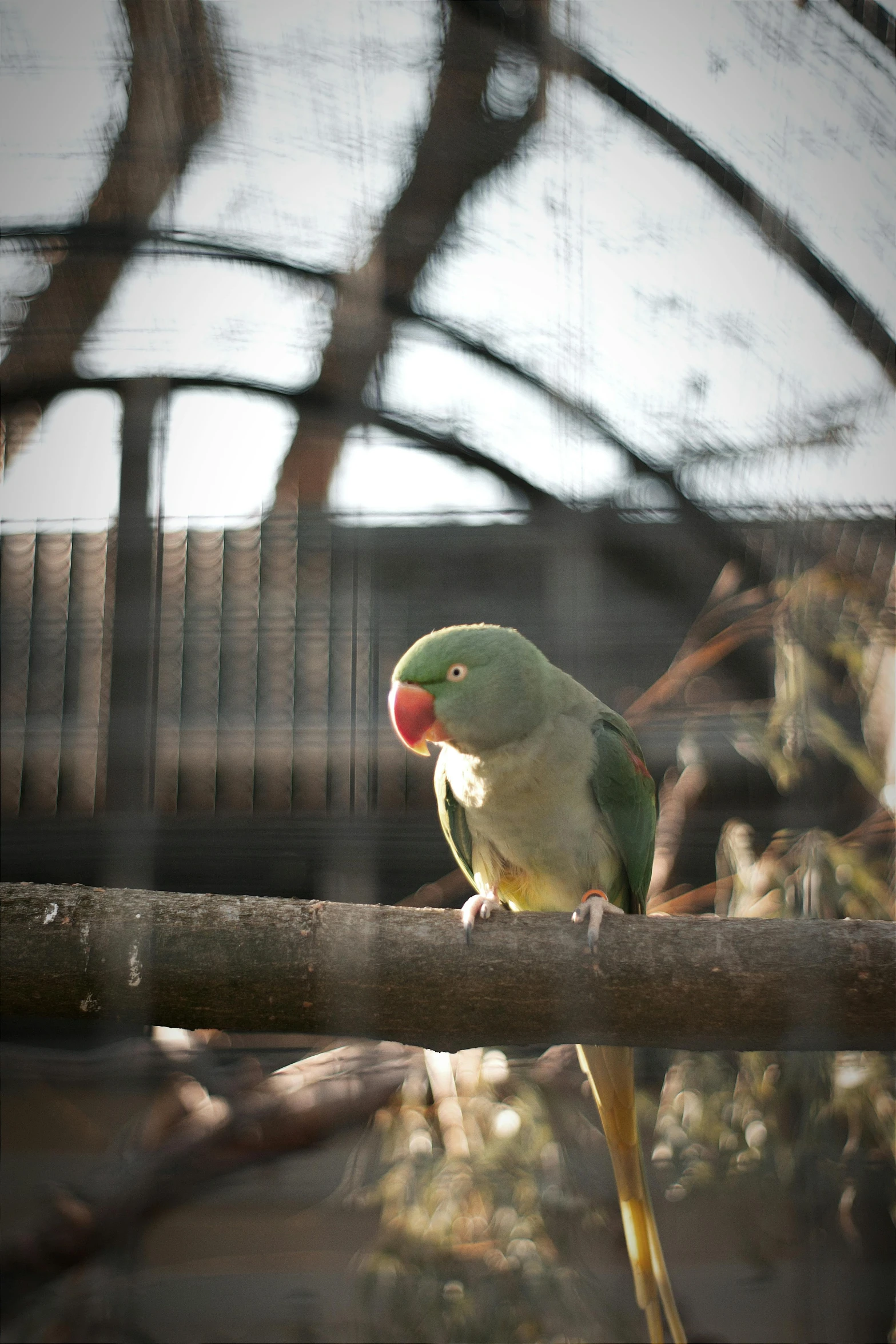 a bird standing on a tree nch next to a metal fence