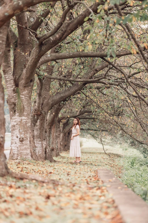 a woman standing under a bunch of trees