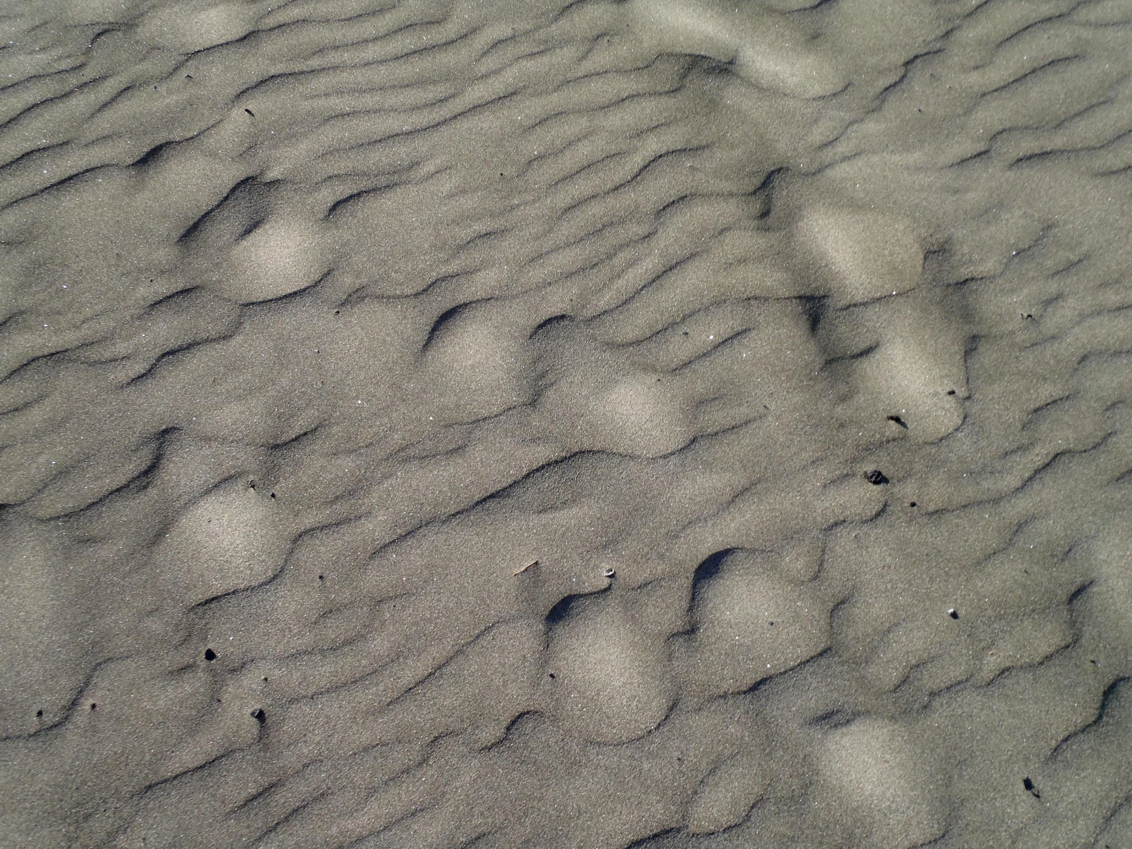 tracks in the sand on an airplane landing strip