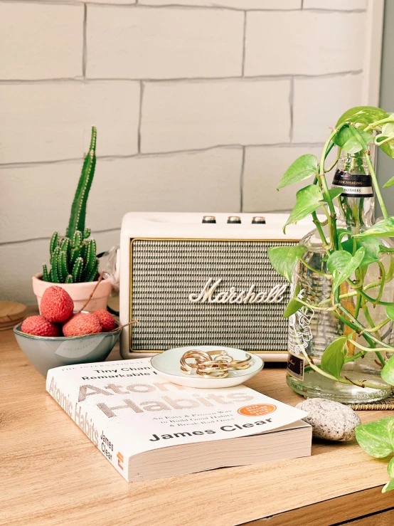 a radio, bowl with fruit, and vase with house plants