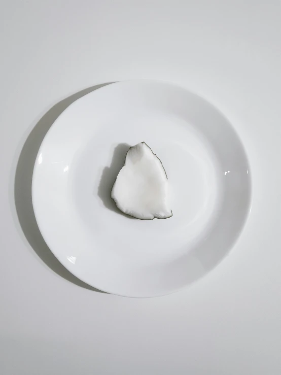 a piece of bread on a plate in front of a white wall