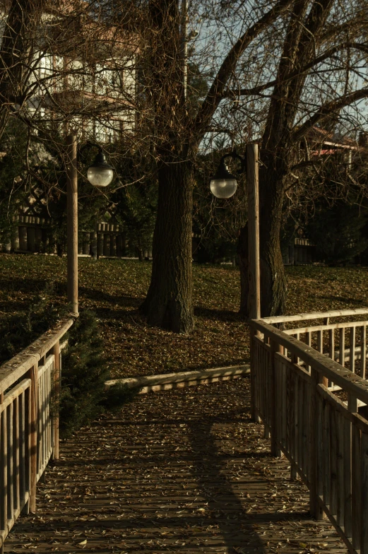 an empty walkway through a park with trees